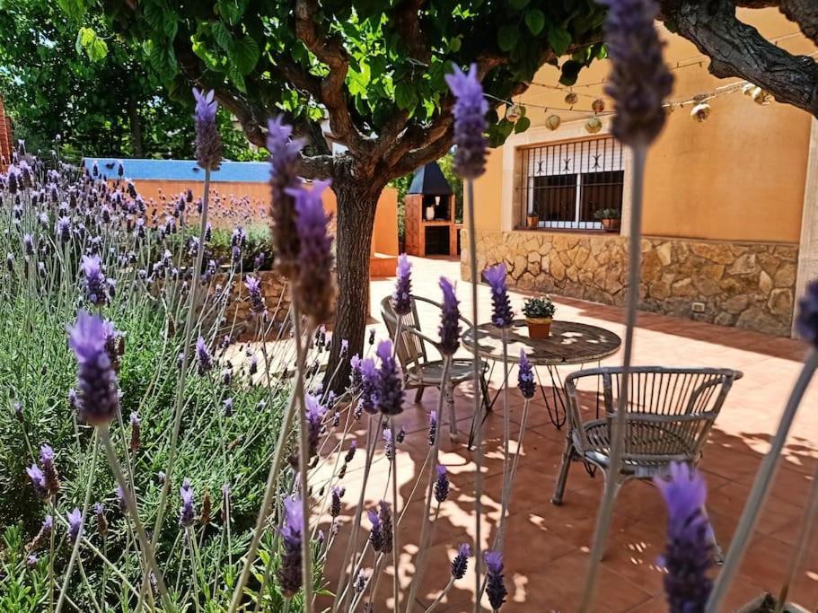 Mas Del Vent- Barbacoa, Jardin, Piscina Privada Y Vistas A Mar Villa Cunit Exteriör bild
